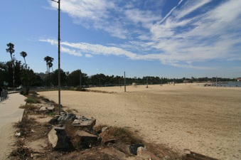 Enlarge photo 65