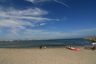 Enlarge photo 63