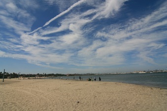 Enlarge photo 62