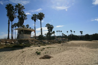 Enlarge photo 61