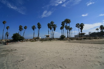 Enlarge photo 59