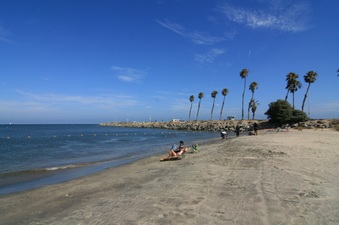 Enlarge photo 58