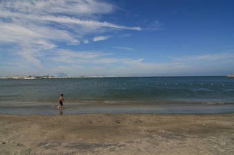Enlarge photo 57