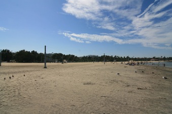 Enlarge photo 53