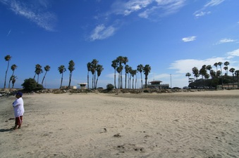 Enlarge photo 51