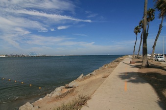 Enlarge photo 50