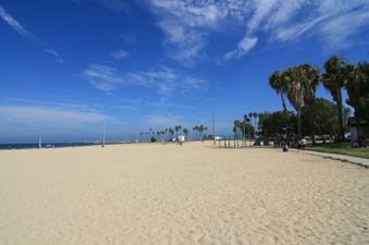 Enlarge photo 48