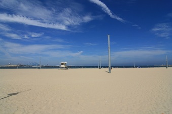 Enlarge photo 46