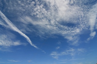 Enlarge photo 43