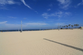 Enlarge photo 42