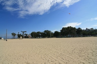 Enlarge photo 37