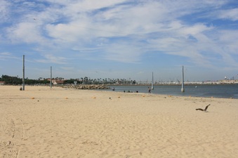 Enlarge photo 35