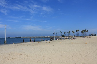 Enlarge photo 33