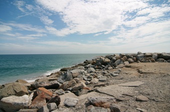 Enlarge photo 78