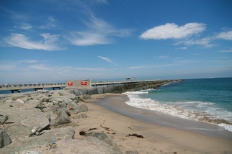 Enlarge photo 75