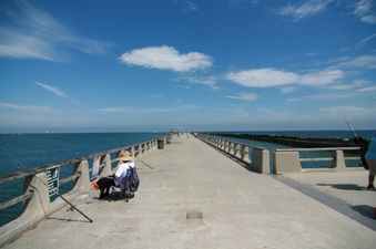 Enlarge photo 66