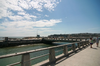 Enlarge photo 63