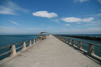 Enlarge photo 62