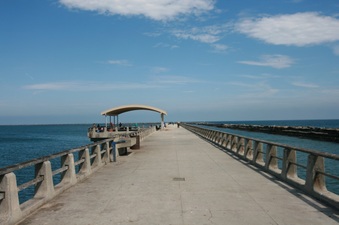 Enlarge photo 61