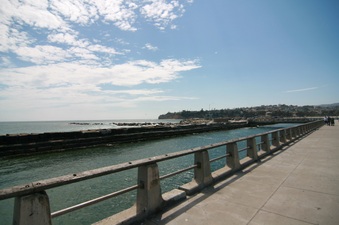 Enlarge photo 59