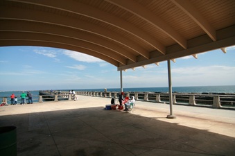 Enlarge photo 51
