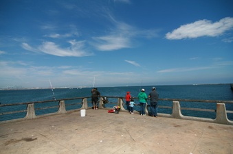 Enlarge photo 50