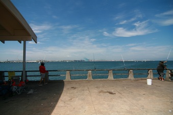 Enlarge photo 49