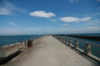 Enlarge photo 48