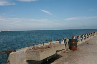 Enlarge photo 47