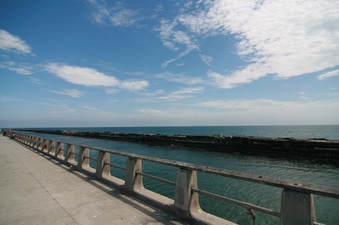 Enlarge photo 46