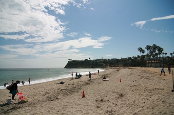 Enlarge photo 36