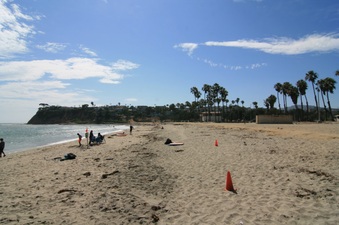 Enlarge photo 34