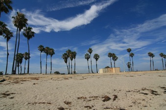 Enlarge photo 27