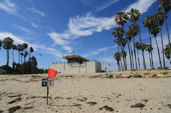 Enlarge photo 26