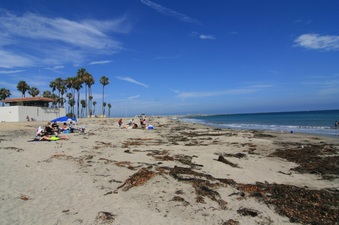 Enlarge photo 21