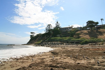 Enlarge photo 15