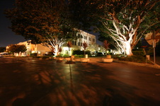 Enlarge photo 31