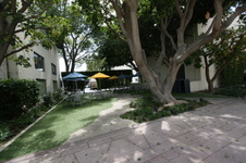 Enlarge photo 30