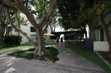Enlarge photo 31