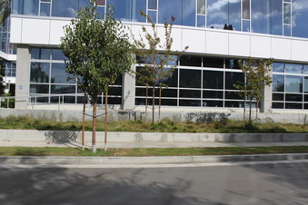Enlarge photo 11