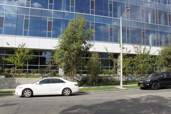 Enlarge photo 20