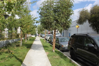 Enlarge photo 24