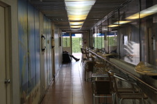 Enlarge photo 16