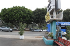 Enlarge photo 38