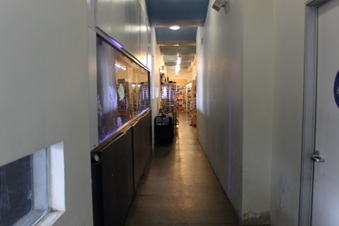 Enlarge photo 22
