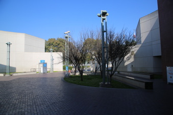 Enlarge photo 143