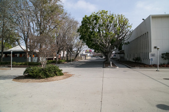 Enlarge photo 35