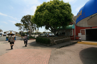 Enlarge photo 4