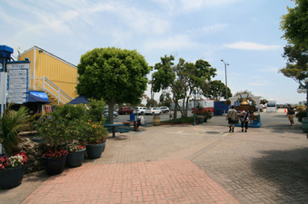 Enlarge photo 5