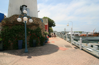 Enlarge photo 13